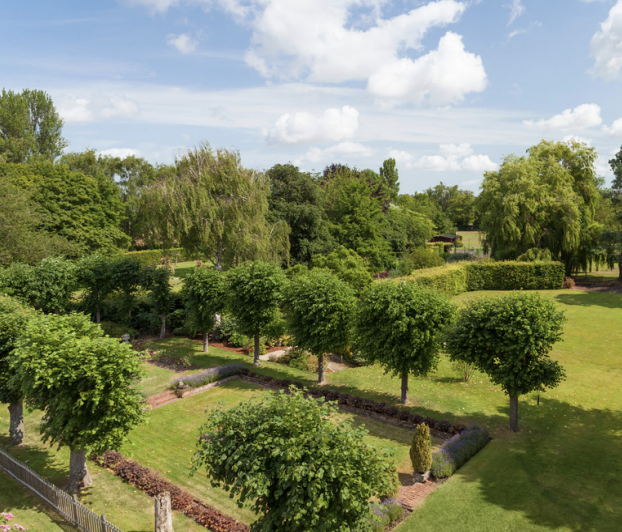 The Quaives gardens with pleached trees and open lawns